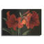 "Amaryllis" par Christopher Pierce-365790092