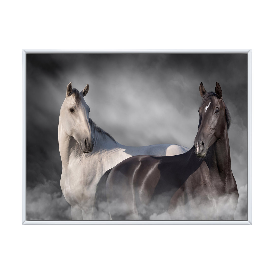 " Black And White Horse Close Up Portrait II " East Urban Home