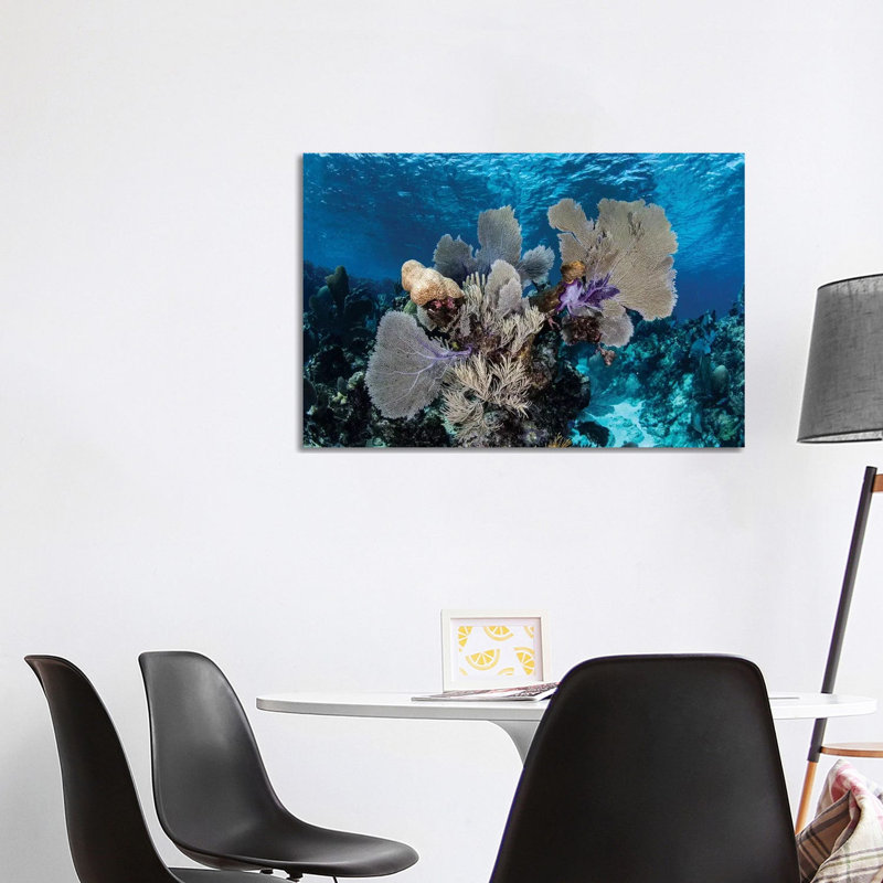 A Colourful Set Of Gorgonians On A Diverse Reef In The Caribbean Sea I by Ethan Daniels - Wrapped Canvas Gallery-Wrapped Canvas Giclée