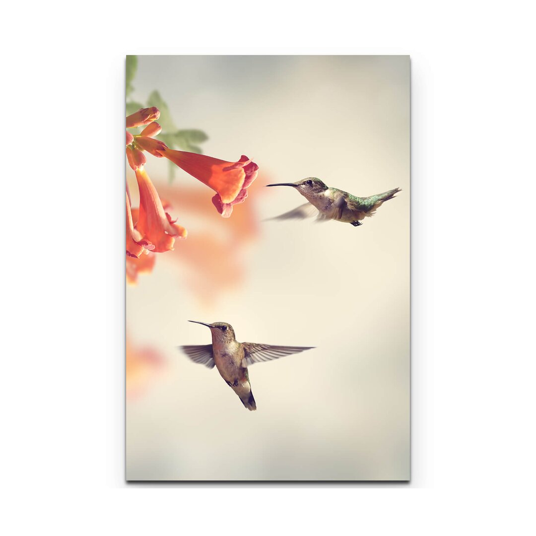 Leinwandbild Kolibris an einer Blume