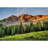 Mountain Range Pine Tree Country Field-88769971