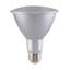 12.5 Watt LED Bulb-59797408