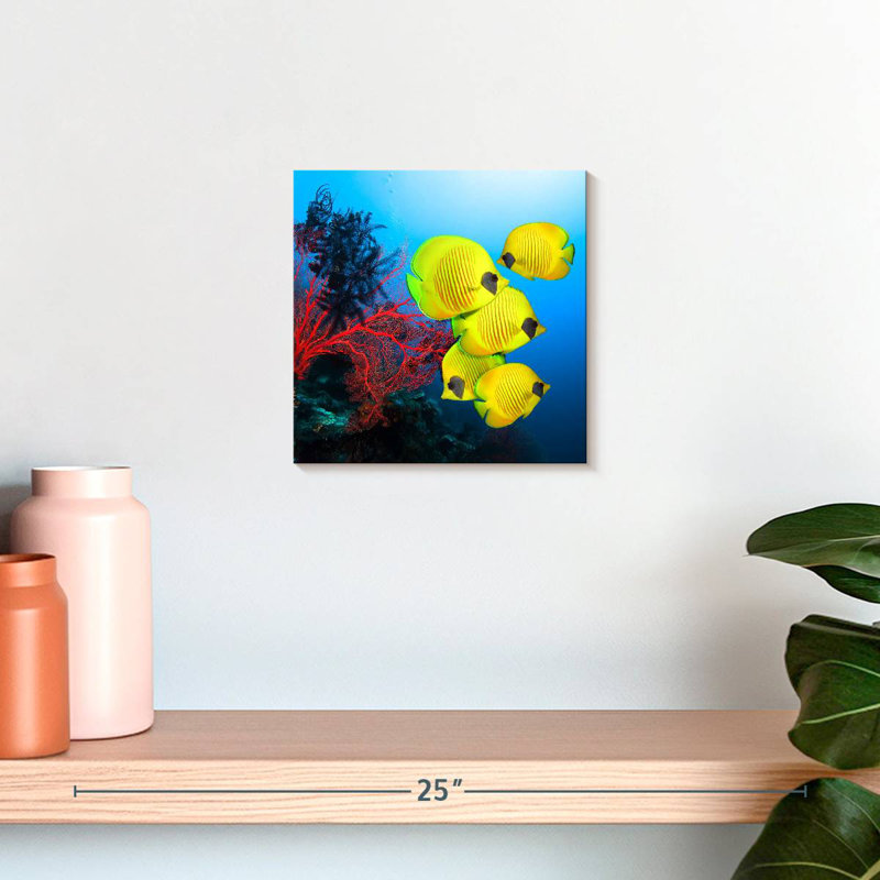 Brampt Coral Reef Fish, 10" H x 10" W