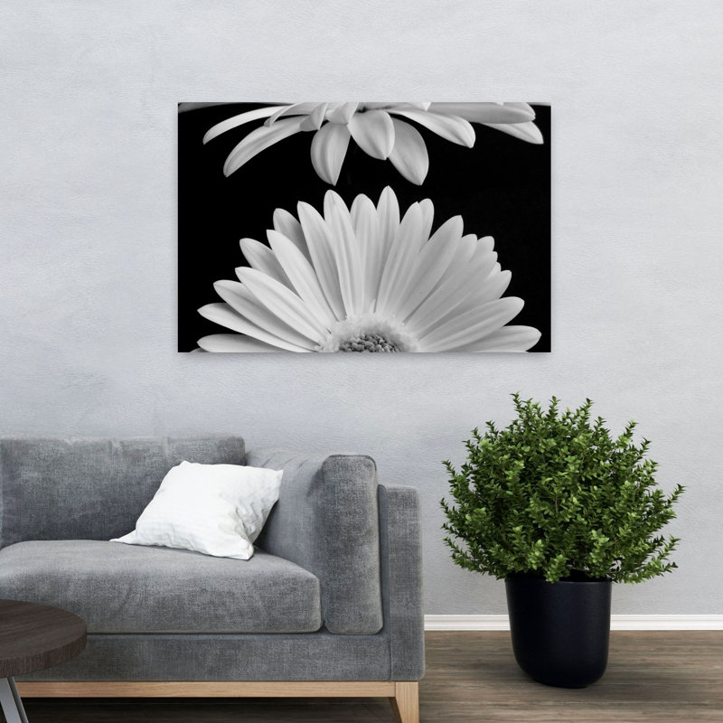 Marguerites, sérénité, sérénité, art floral contemporain, H 32 po x l 48 po