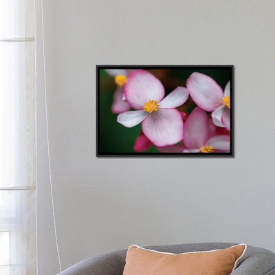 «Flowers From Pérou», reproduction de photo sur toile