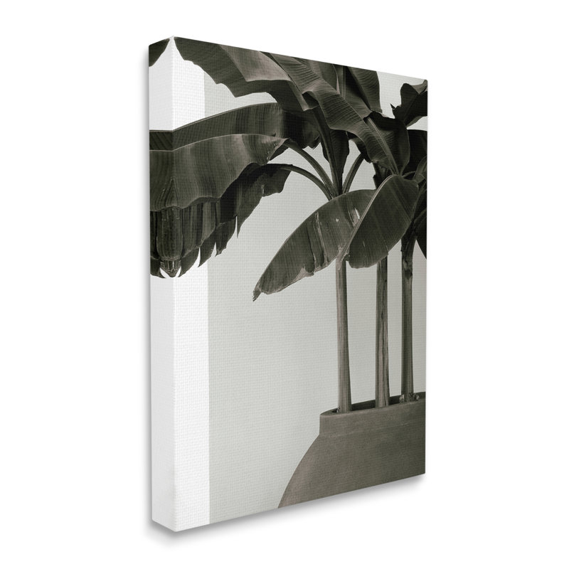 Modern Tropical Palm Monochromatic Cement Planter by George Cannon - Print, Wrapped Canvas, 20" H x 16" W x 1.5" D