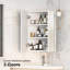 Sprow 450mm W 600mm H Corner Frameless Medicine Cabinet Mirror