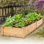 Lit de jardin surélevé en bois Olivers