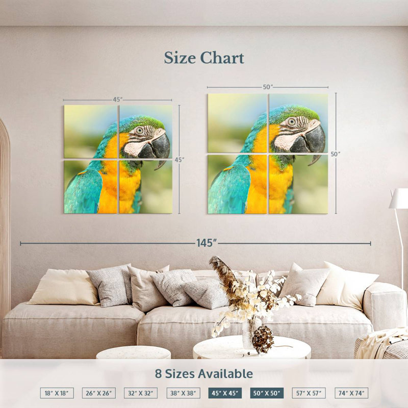 Brampt Parrot, 50" H x 50" W
