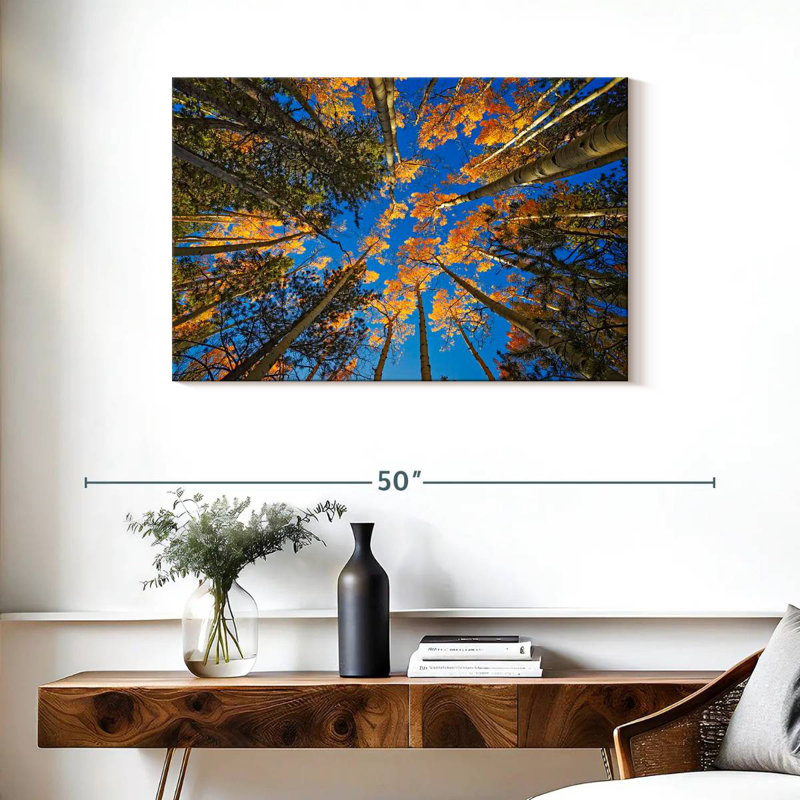 Alvord Aspen Forest In Autumn, 24" H x 36" W