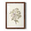 «Twig Study II», impression encadrée-1326240125-1326240126