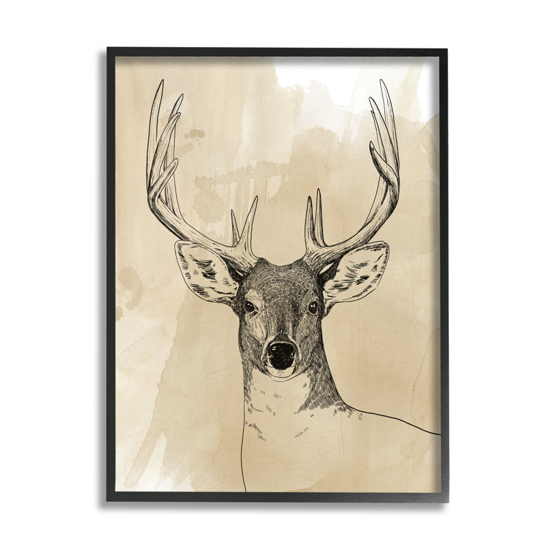 Illustration d'un animal sauvage, forêt, animalier, aquarelle, Giclée encadrée noir minuit, H 20 po x l 16 po x P 1,5 po