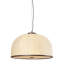 Rodrick Pendant-23498689