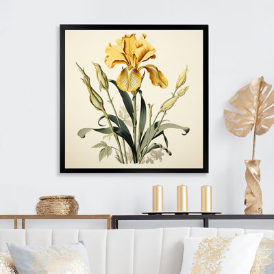 Iris jaune, illustration rétro I sur toile