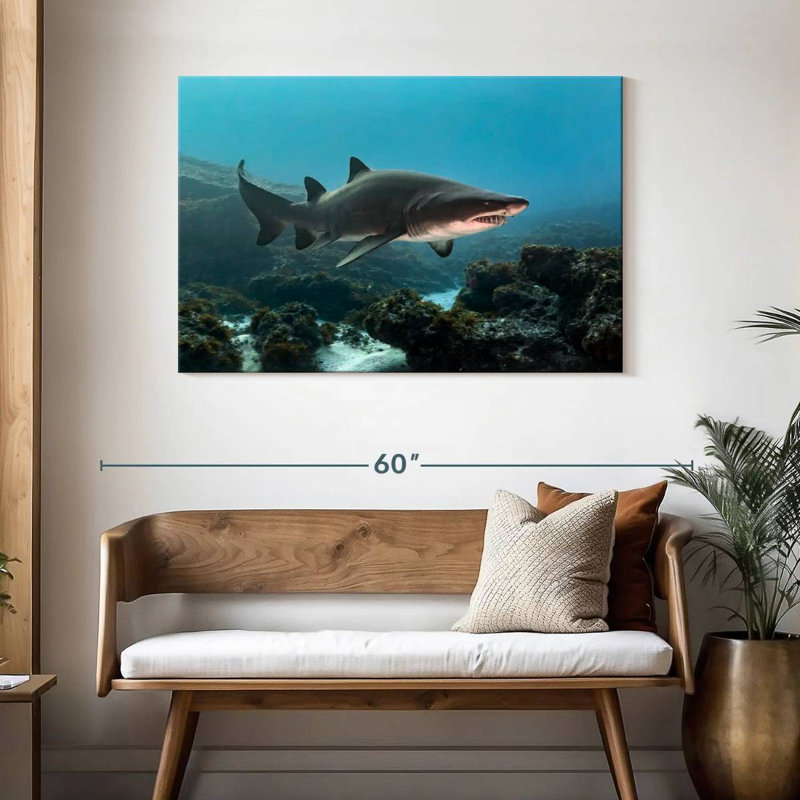 Aliwal Shoal Shark, 30" H x 45" W