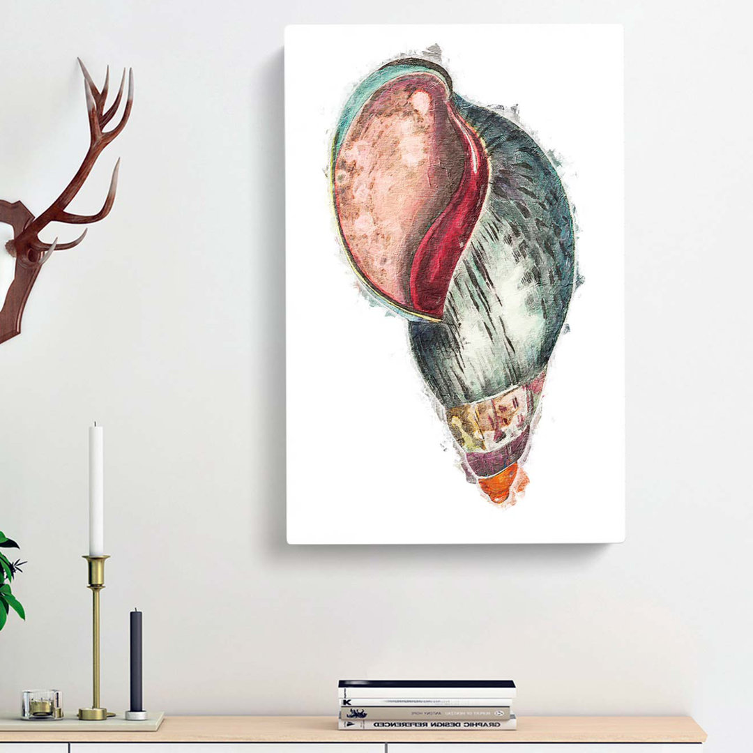 Colourful Seashell by George Shaw - Wrapped Canvas