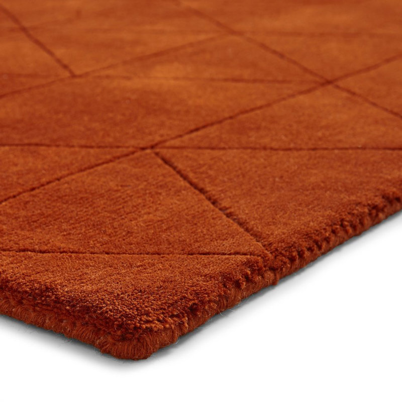 Lachonne area rug Hand Tufted Rectangle Terracotta, Rectangle 150 x 230cm