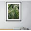 Palm I Print by Vitaliy Paykov-48619987-48619989