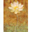 Louise Montillio - Wrapped Canvas Print-20254120