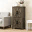 Armoire domestique-1523432330
