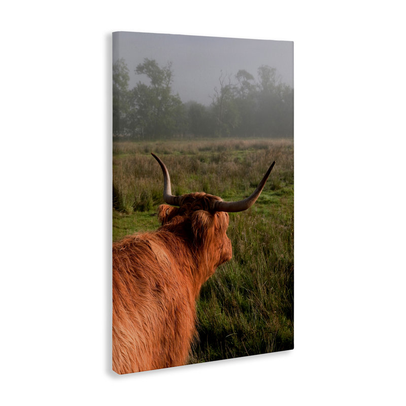 «Highland Cow Gazing Out Canvas» par Jenny Rainbow Fine Art, H 36 po x l 24 po