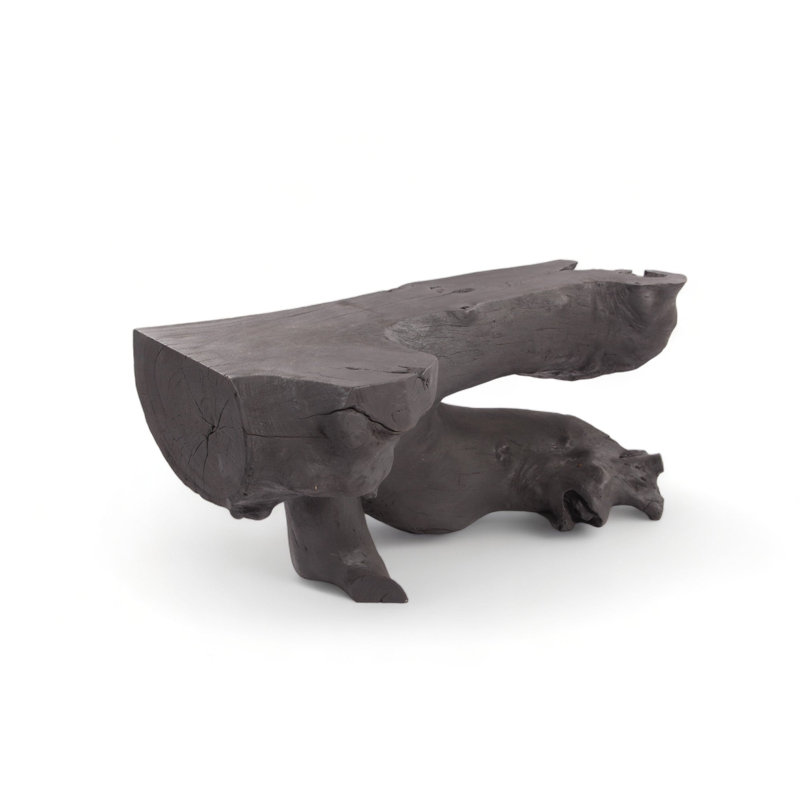 Console noire sculptée naturelle - 2