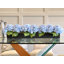 Arrangement d'hortensias artificiels bleus longs et réels, centre de table, arrangement floral artificiel, fleurs en soie, vase noir, décor français