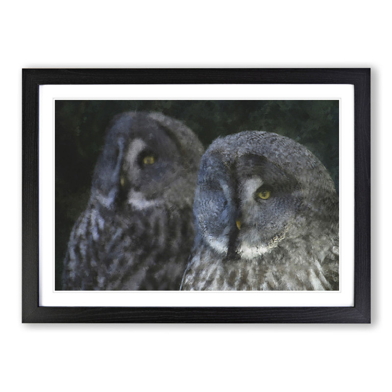 Great Grey Owls - Picture Frame Painting, Black Framed, 27cm H x 36cm W x 2cm D