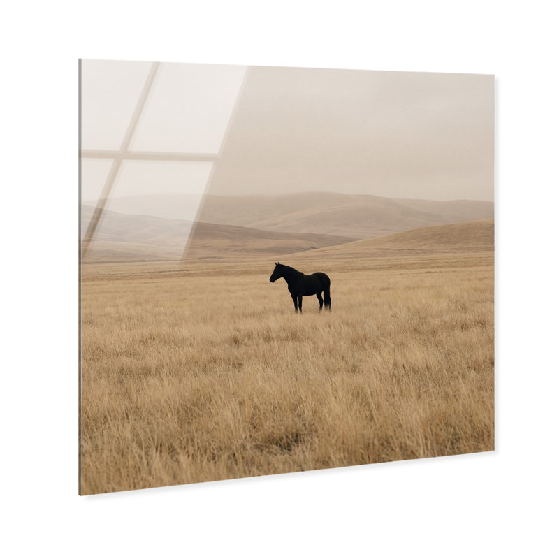 The Middle Print by Oliver Gal, High-Gloss Acrylic Print, 20"H x 20"W