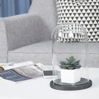 Jealinn Decorative Bell Jar Display Case