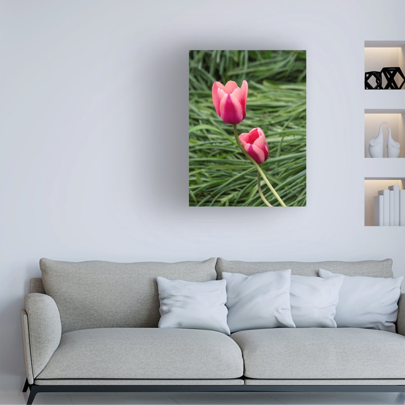 Art sur toile "bolologic Suzanne Bonin", H 24 po x l 32 po