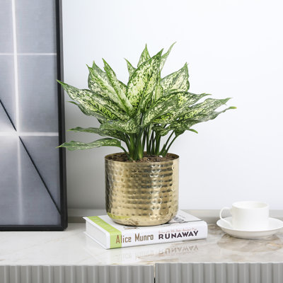 Handmade Metal Pot Planter