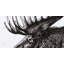 Moose plume - 24"x48" Framed canvas