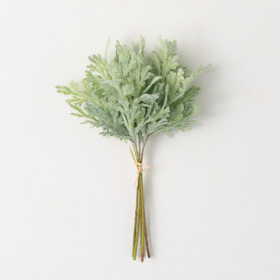 Hatherleigh Fern Arrangement