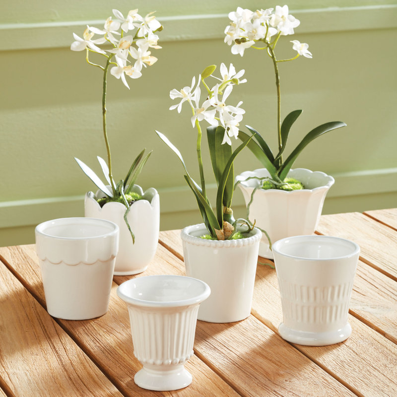 Mirabelle Ceramic Planter