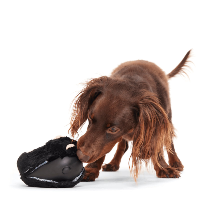 The Best Of Bark Super Chewer Accessories