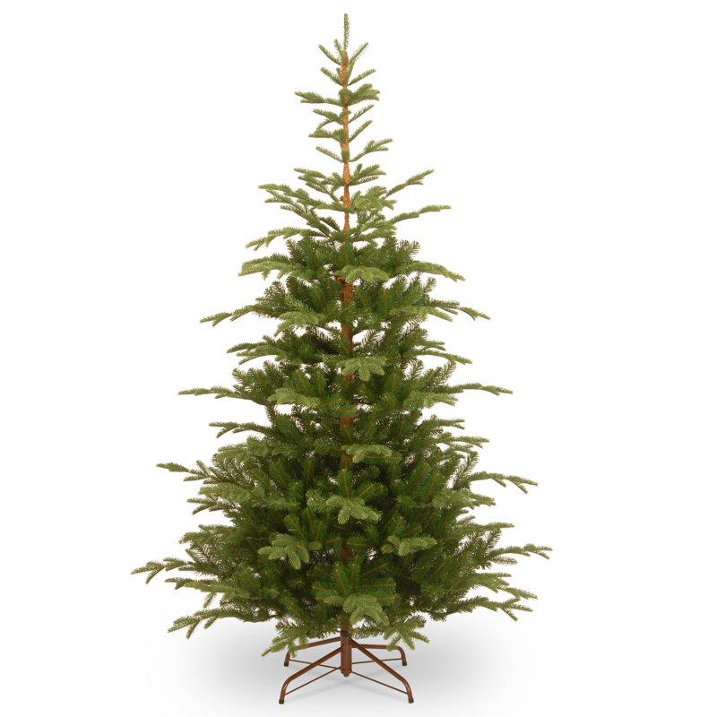 Downswept Douglas Green Fir Artificial Christmas Tree with Color + Clear Lights, 12'
