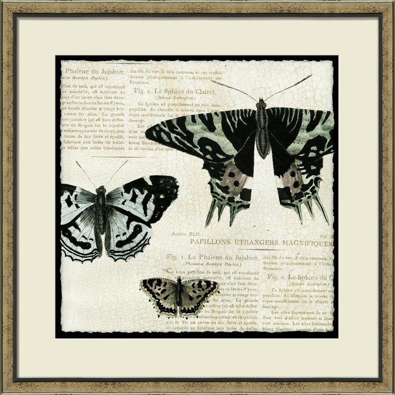 Butterfly Collage I Print