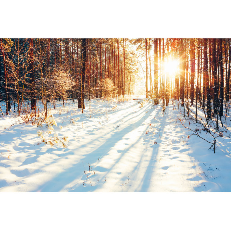 Winter Forest Landscape by Bruev - Wrapped Canvas Print, 20cm H x 30cm W x 3.8cm D