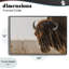 Bison Sunset on Golden Prairie, giclée encadrée, design par Nathan Larson-130751150-130751149