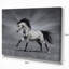 «Chestnut Horse in Motion», impression-35111552-29489944