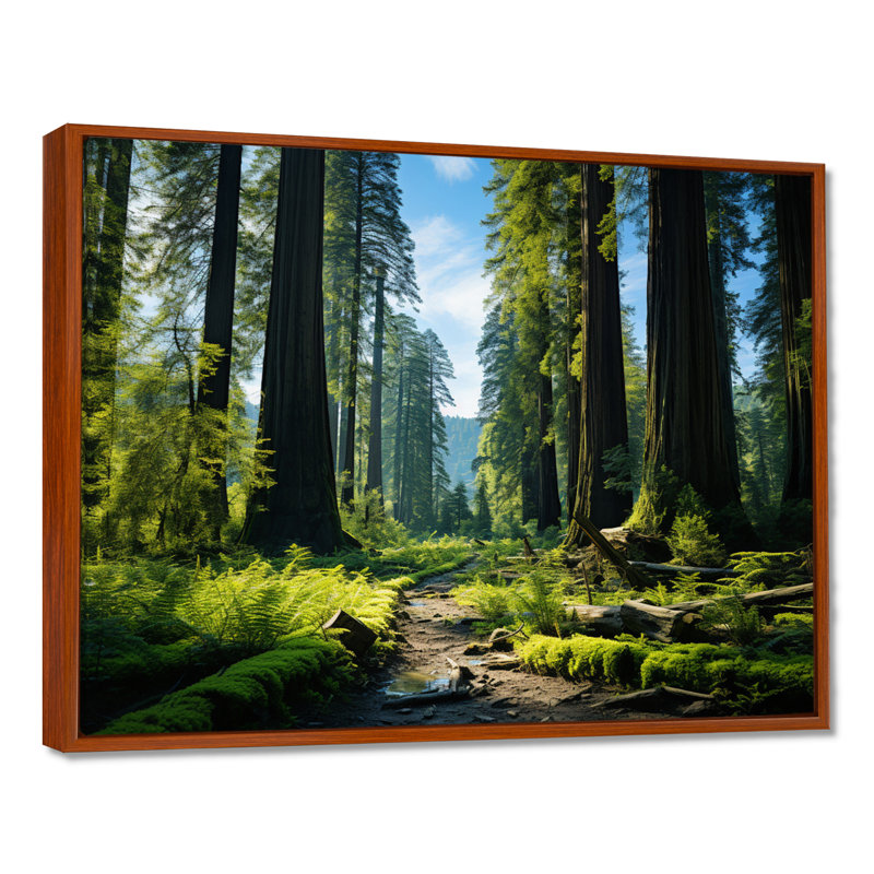 «Redwood Giants Tree Forest II», reproduction d'art sur toile, H 34 po x l 44 po x P 1,5 po, Brun