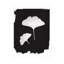 Art sur toile noir «Piper Rhue» par Bachelor Gingko II-105629372