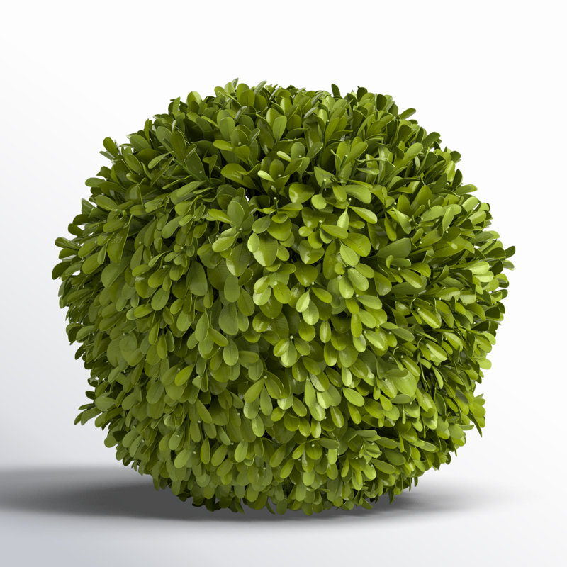 Preserved Greens Topiary, Hedge Plant in, 12" H x 12" W x 12" D