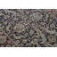 Trinity Wool Oriental Area Rug