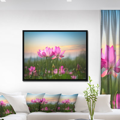 «Blooming Lotus Flowers at Sunset», photographie