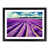Black Framed selected