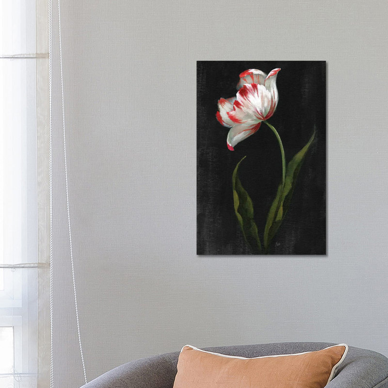Master Botanical II By Nan - Wrapped Canvas Graphic Art by Nan - Wrapped Canvas Gallery-Wrapped Canvas Giclée