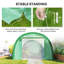 Walk-in Polytunnel Greenhouse, Upgraded Structure-122877628