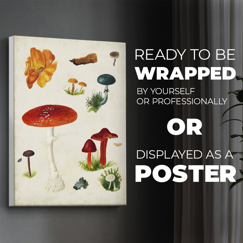 Mushroom Species VIII - Reproduction de toile seulement - NON-CADRE, H 36 po x l 24 po